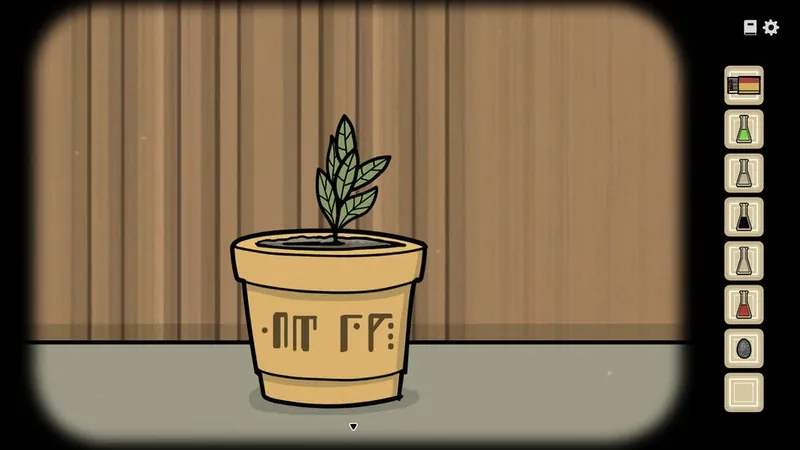 Potted plant marked with symbols