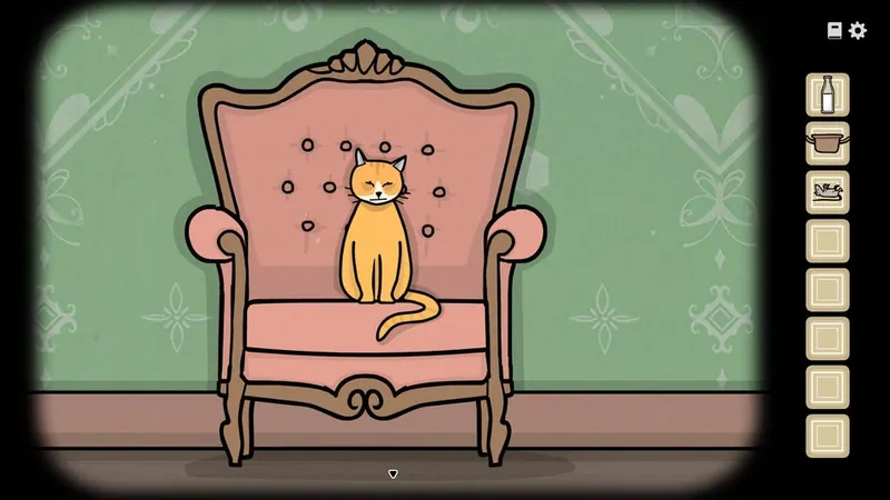 Rustie the cat sitting on the pink chair