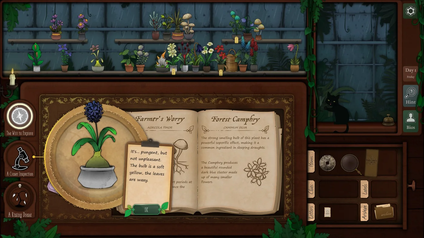 Strange Horticulture Day 1 Forest Camphry plant identification
