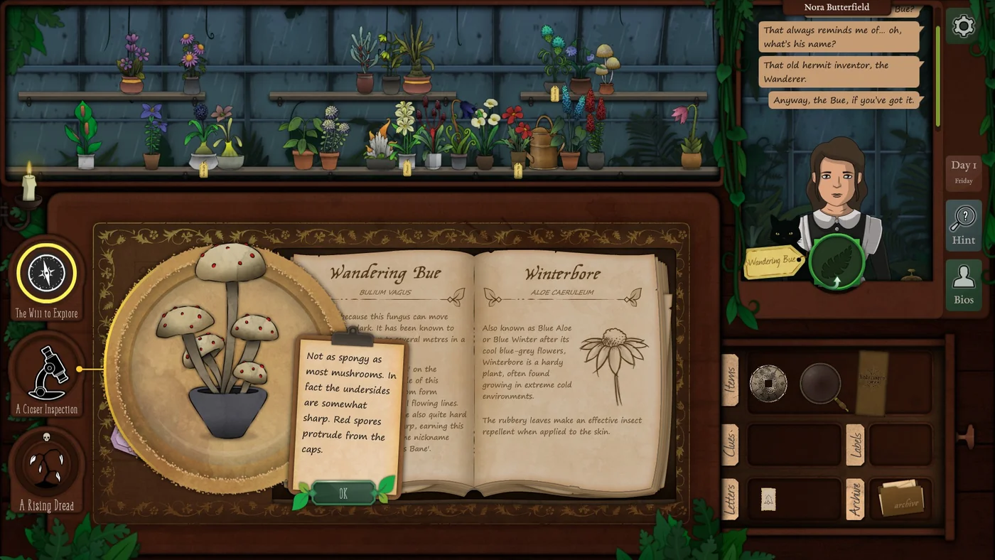 Strange Horticulture Day 1 Wandering Bue plant identification