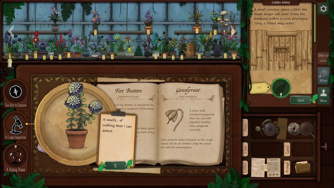 Strange Horticulture Day 10 Fox Button plant identification