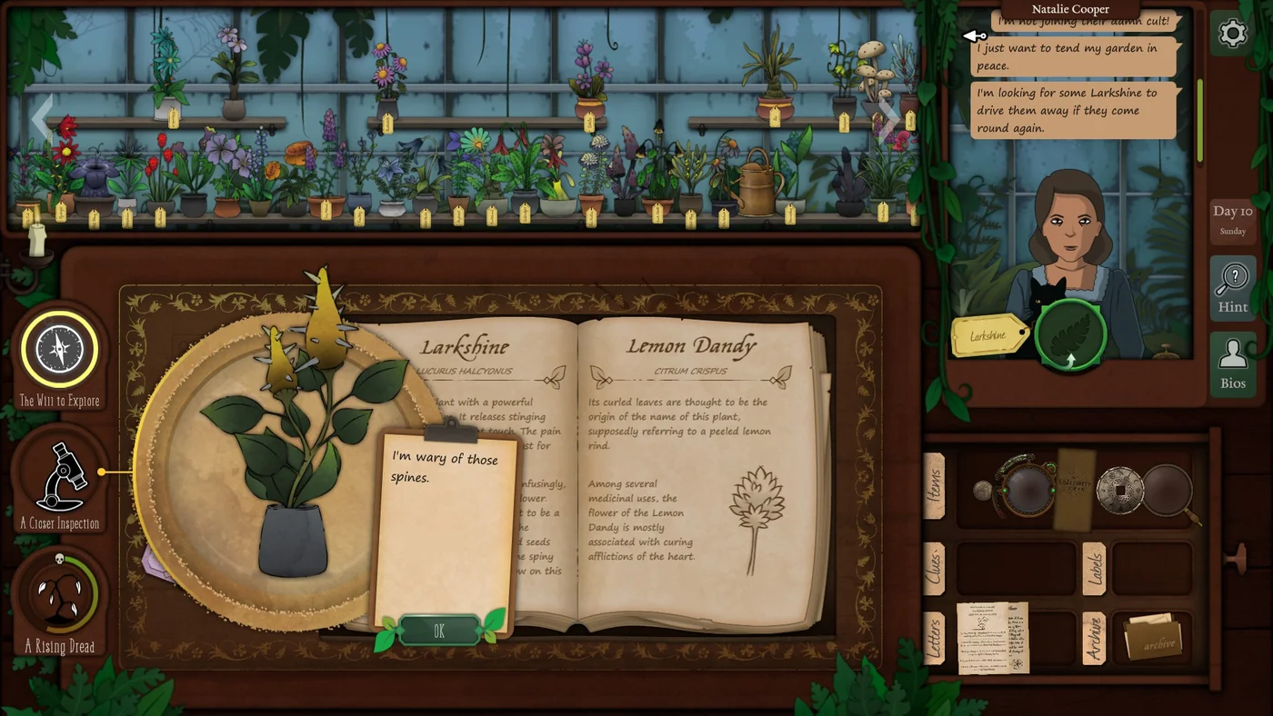 Strange Horticulture Day 10 Larkshine plant identification