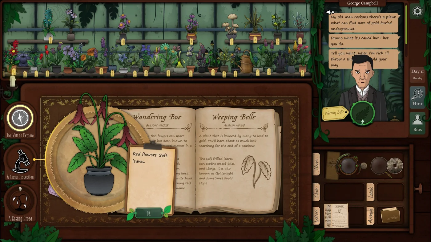 Strange Horticulture Day 11 Goldenlight plant identification