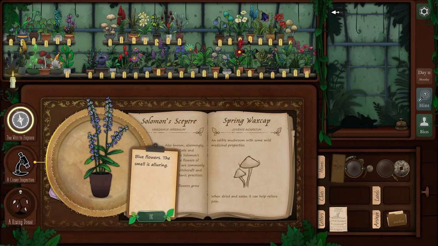 Strange Horticulture Day 11 Solomon's Sceptre plant identification for Alice Boyd
