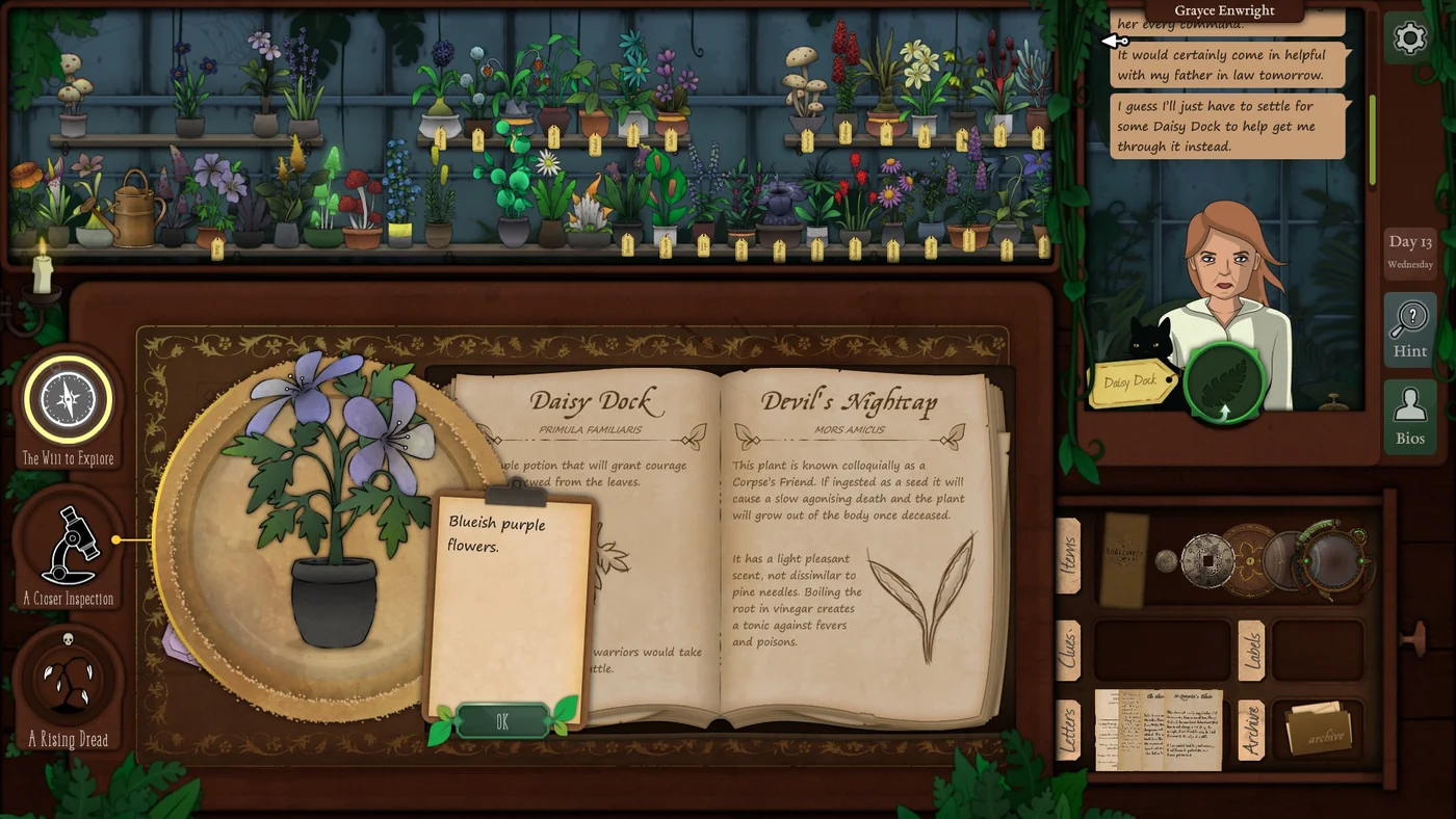 Strange Horticulture Day 13 Daisy Dock plant identification