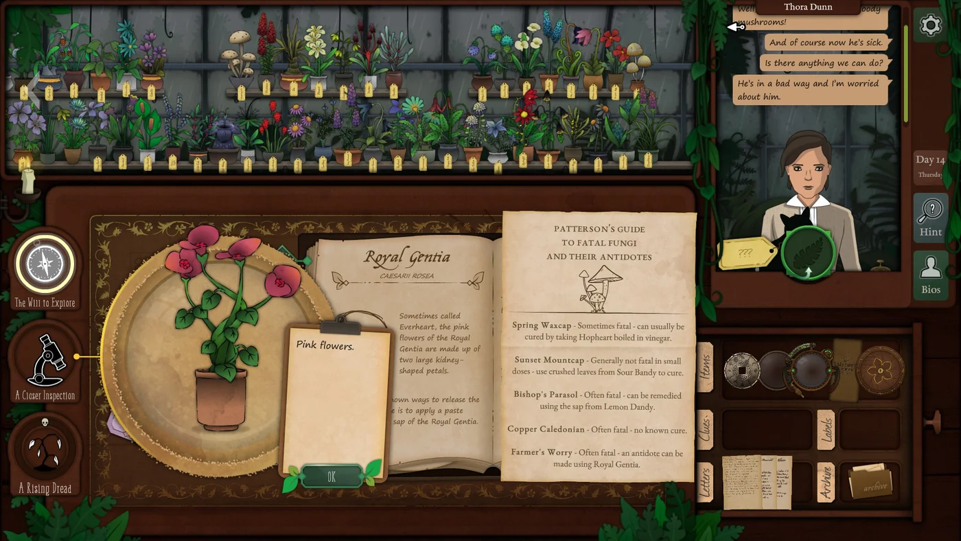 Strange Horticulture Day 14 Royal Gentia plant identification