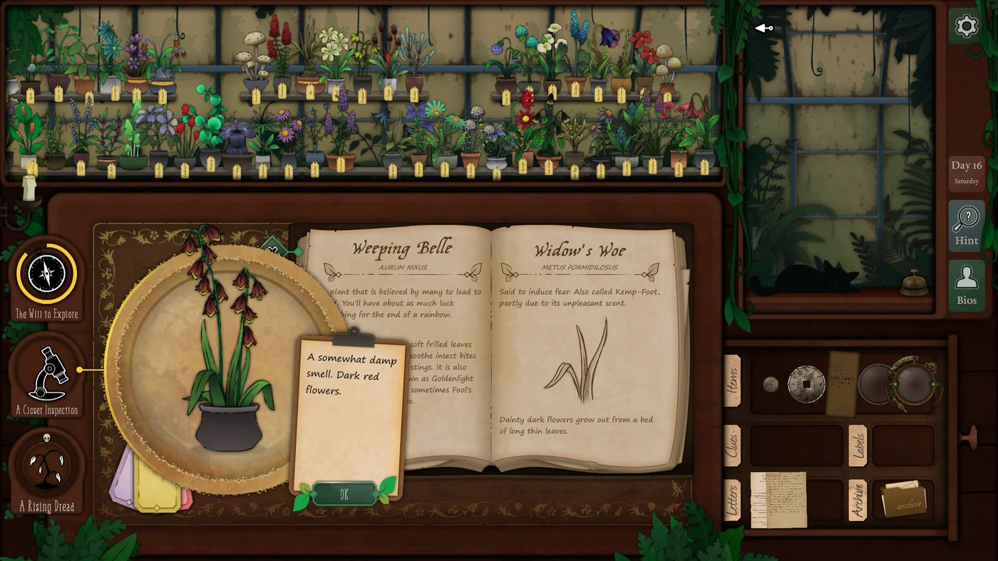 Strange Horticulture Day 15 Widow's Woe plant identification
