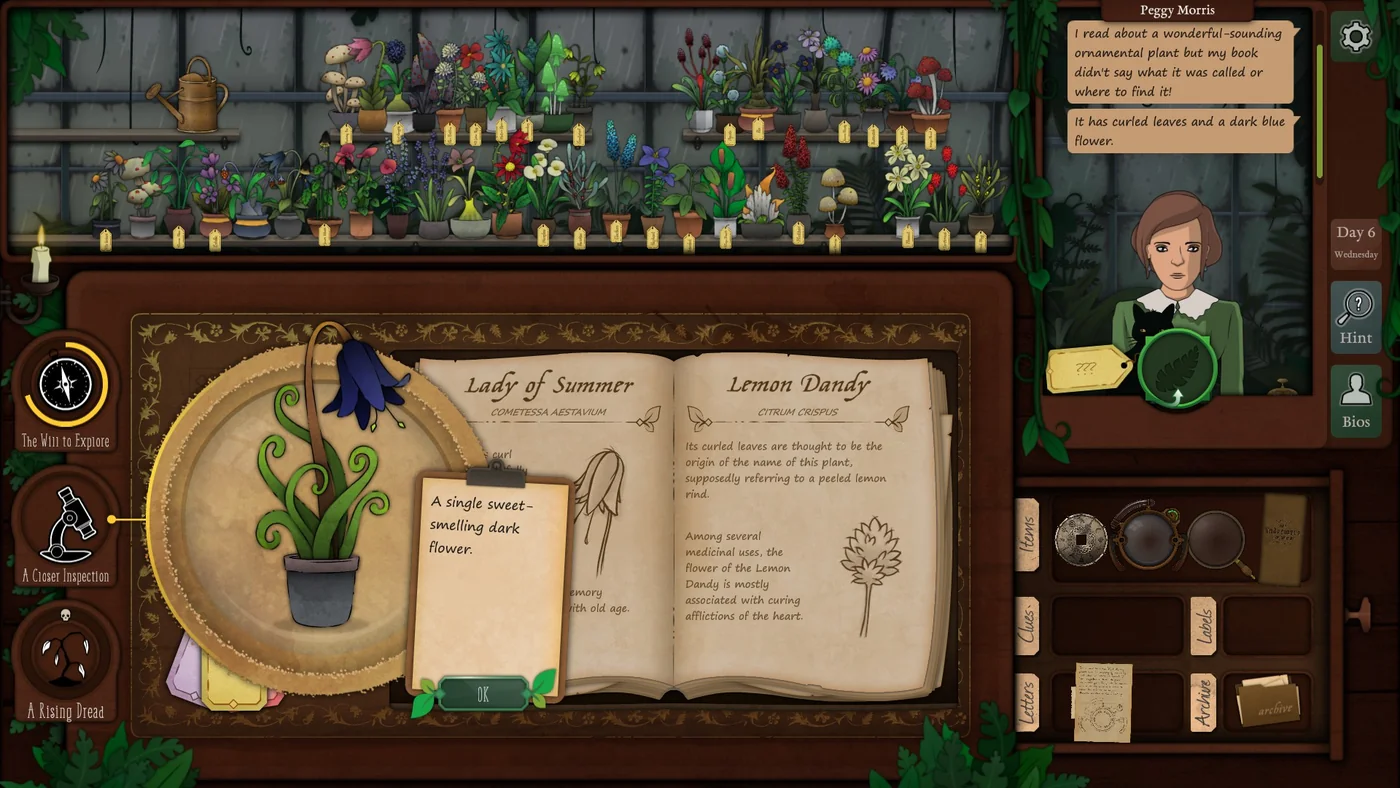 Strange Horticulture Day 6 Lady of Summer plant identification for Peggy Morris