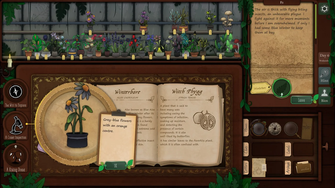 Strange Horticulture Day 6 Winterbore plant identification