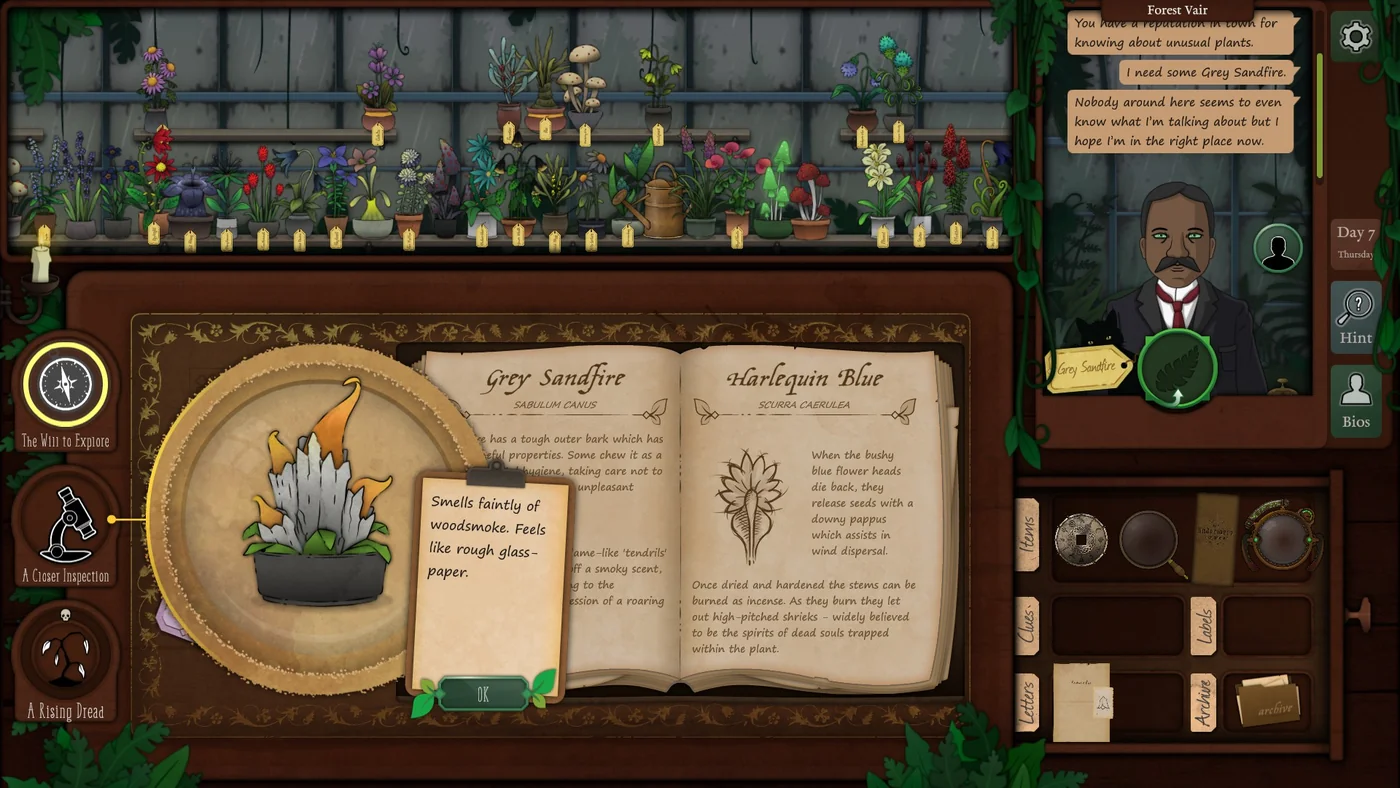 Strange Horticulture Day 7 Grey Sandfire plant identification