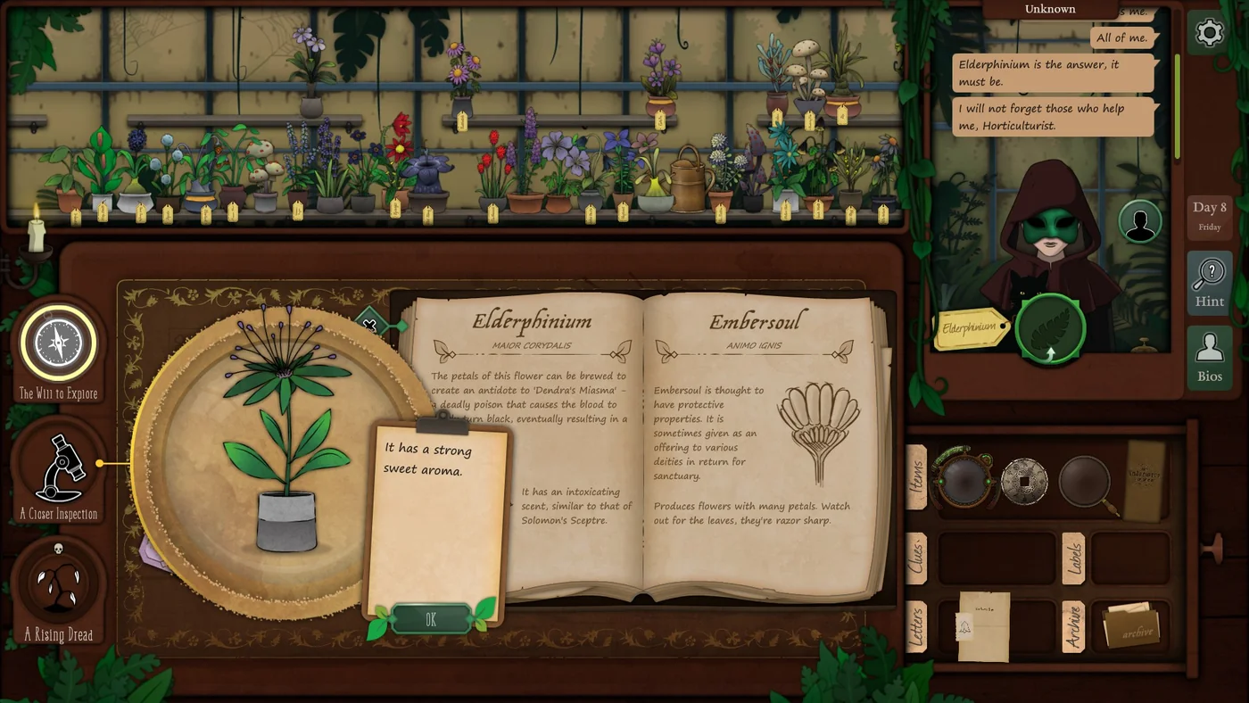 Strange Horticulture Day 8 Elderphinium plant identification