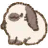 Coco bunny icon