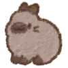 Maru bunny icon