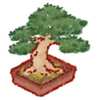 Bonsai keepsake icon
